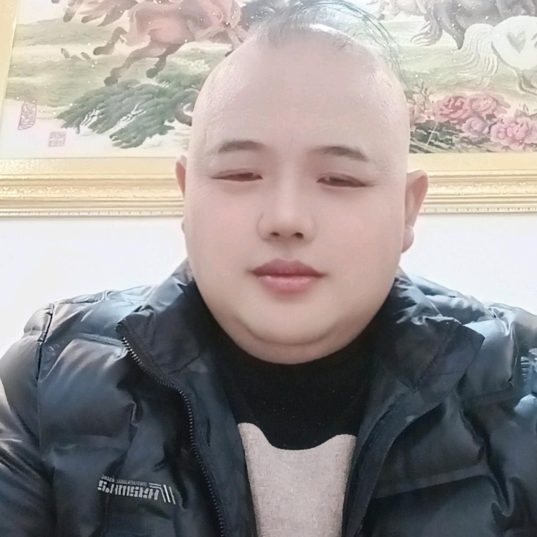 西南舒哥