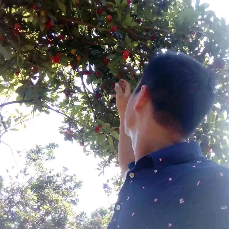 🍒心若移动如何联通🍒