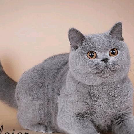 ㅤㅤㅤㅤㅤㅤ等风、