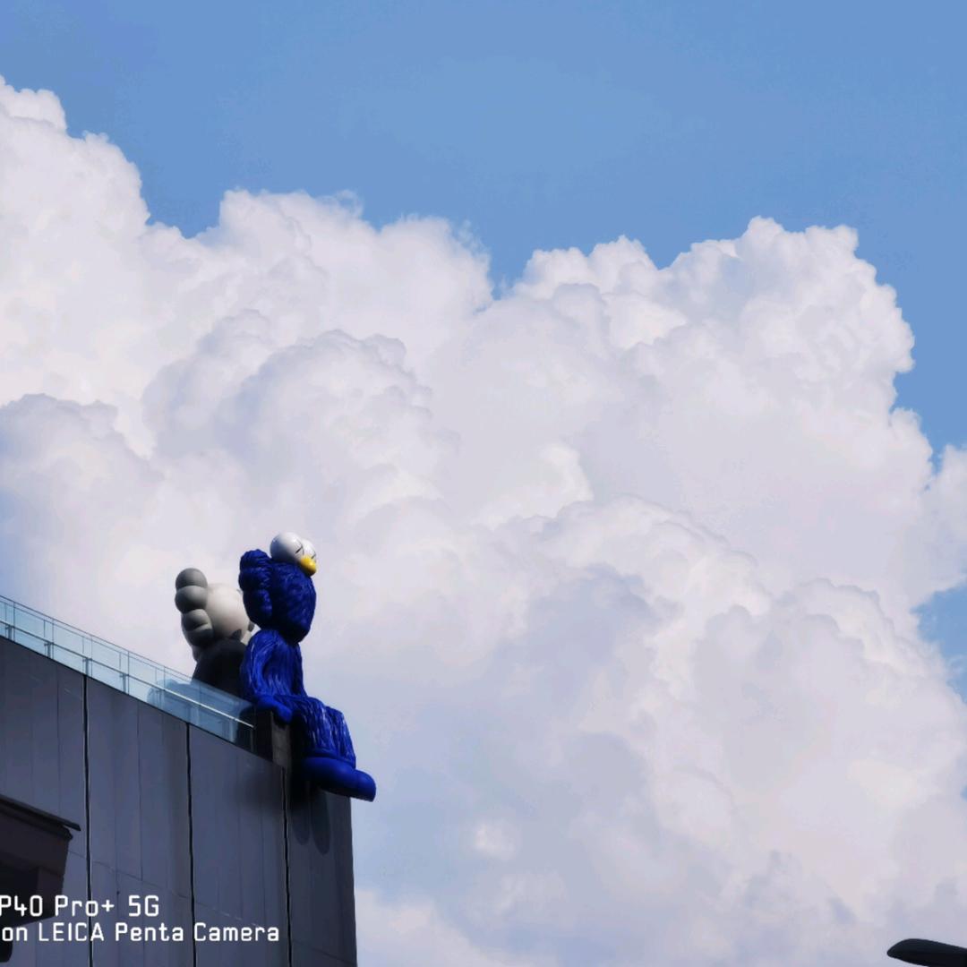 小曾不会飞⁵²¹¹ 🌙