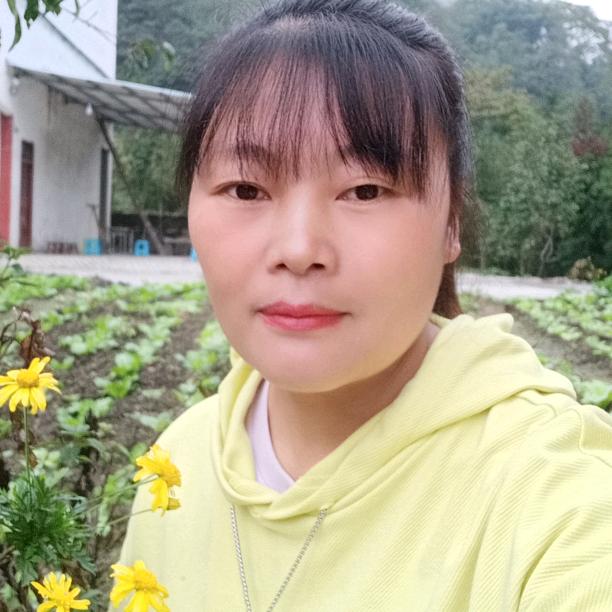 云南彩彩（二姐）