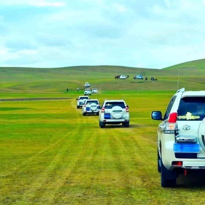 草原路书｜金珊