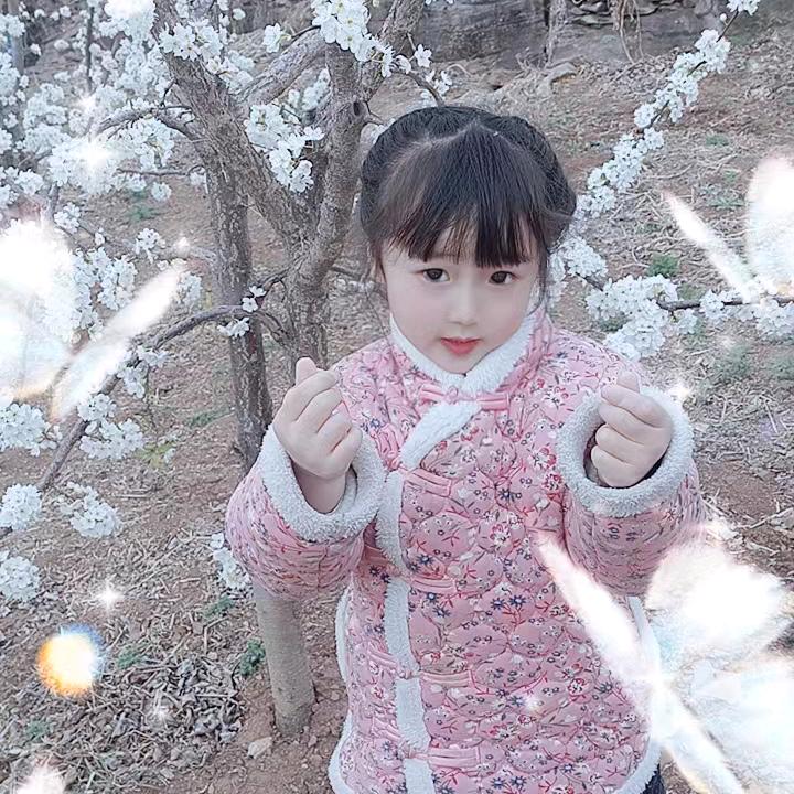 ✨幸福🌻🌻