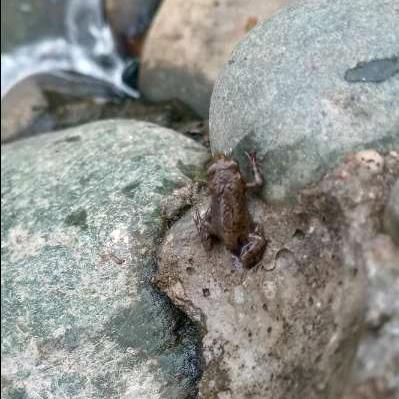 我就是山大王