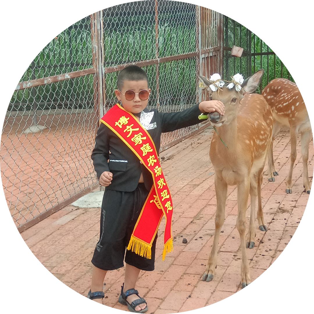 @东北一根葱☞博文鹿业