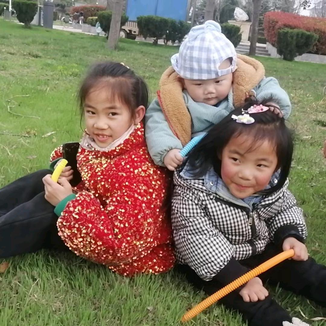 盒子里的大猫🐱