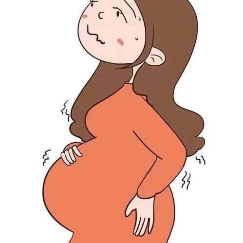 孕婴知识