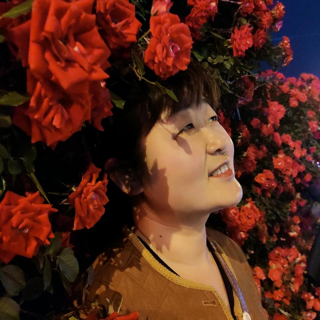 张玉《阜阳朱寨》
