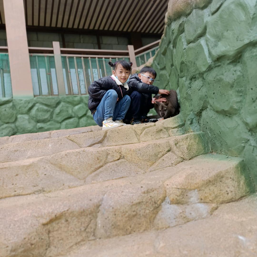 骑着老虎🐯牵着马🐴