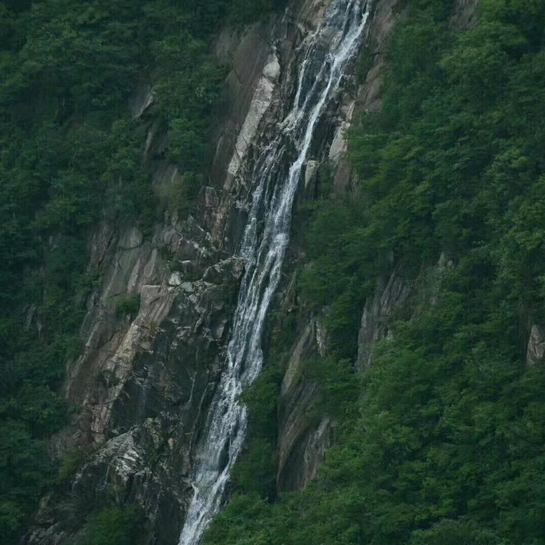 御茗潭茶叶