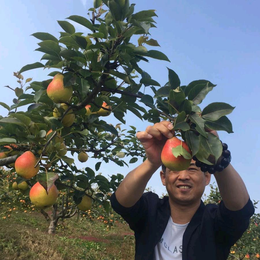 勃利县乾鑫丰二手车交易有限公司