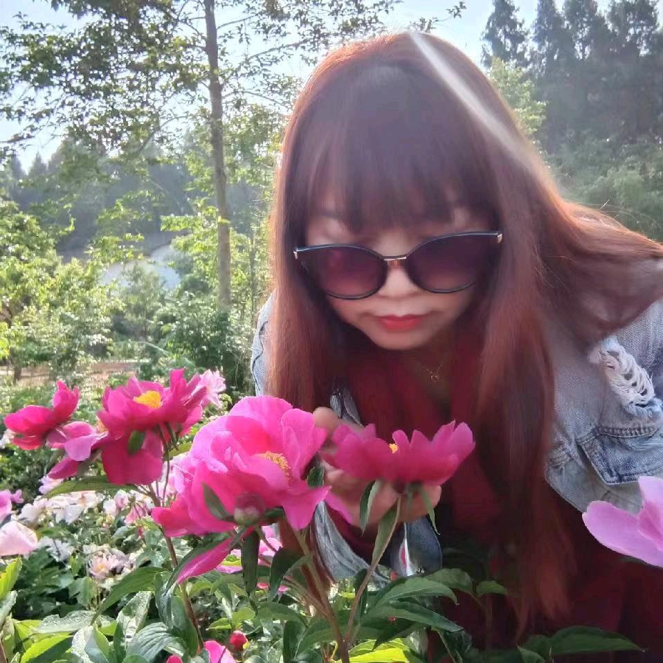 紫色郁金香
