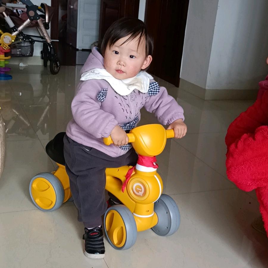 理念