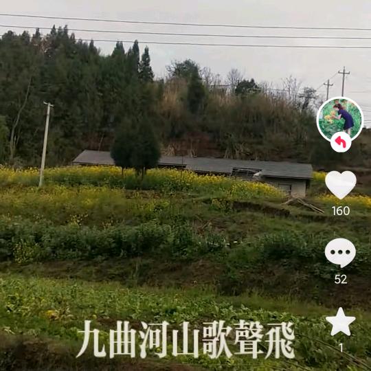 从头来过