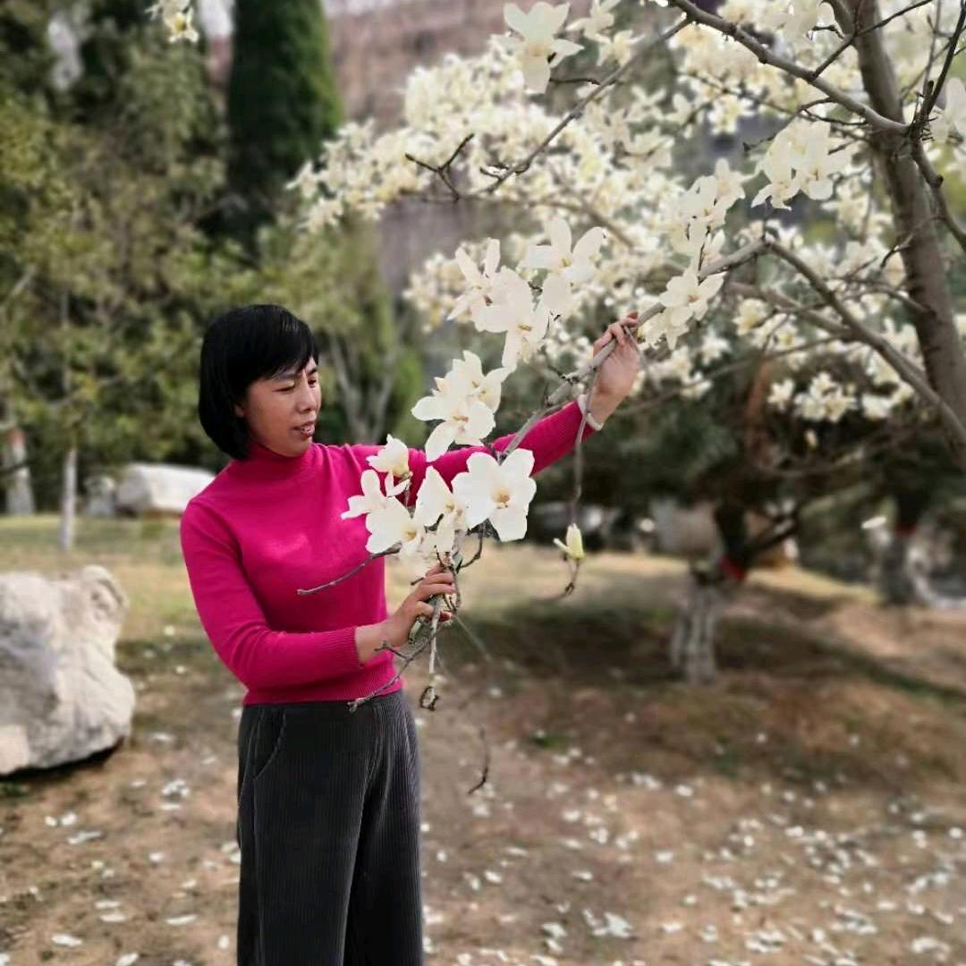 海燕呐长点心吧