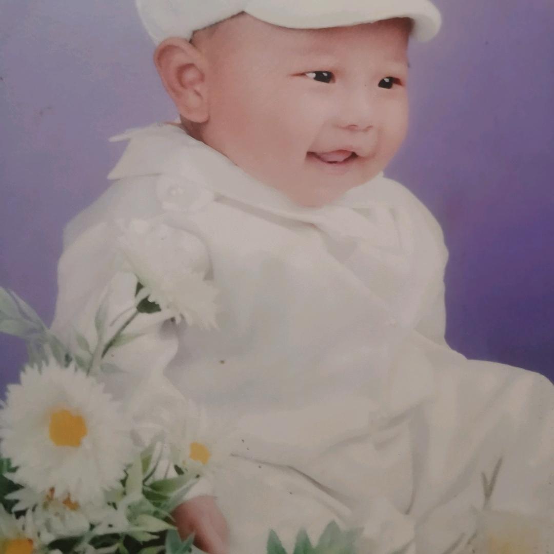 李子树