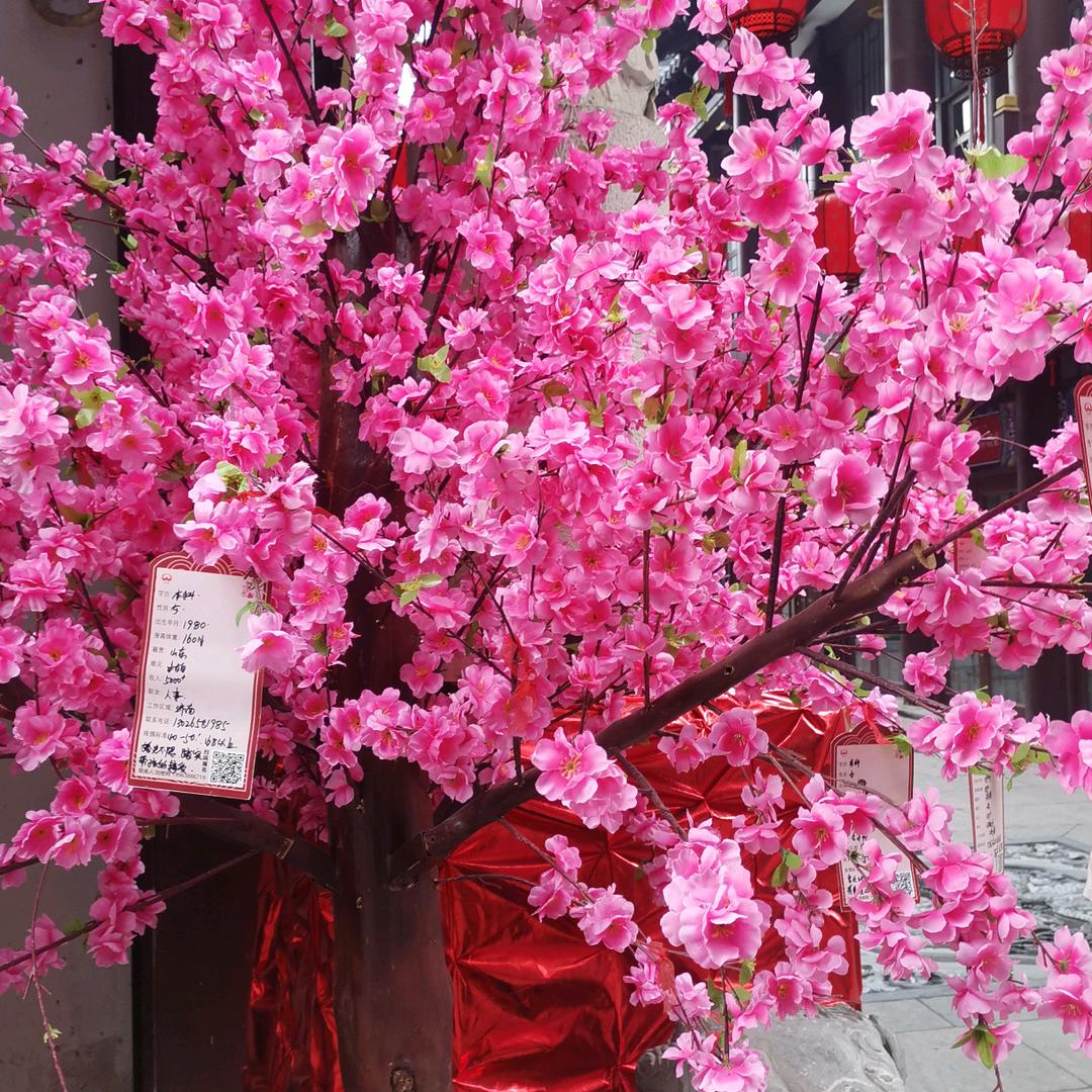 冬暖花开