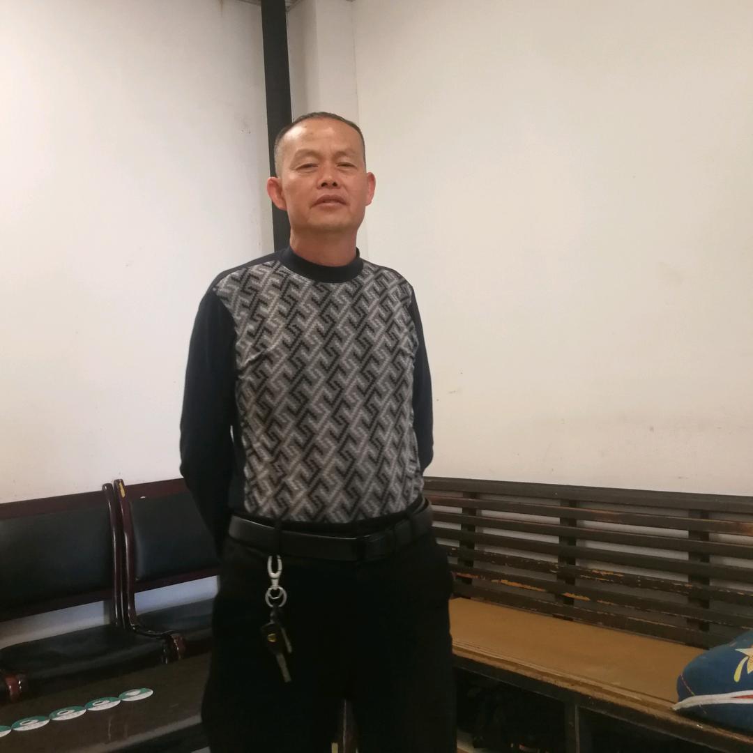 一匹懒马