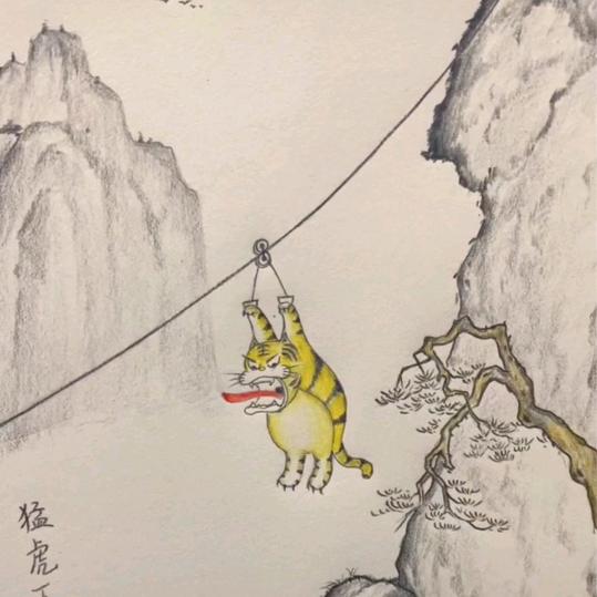户外小迪