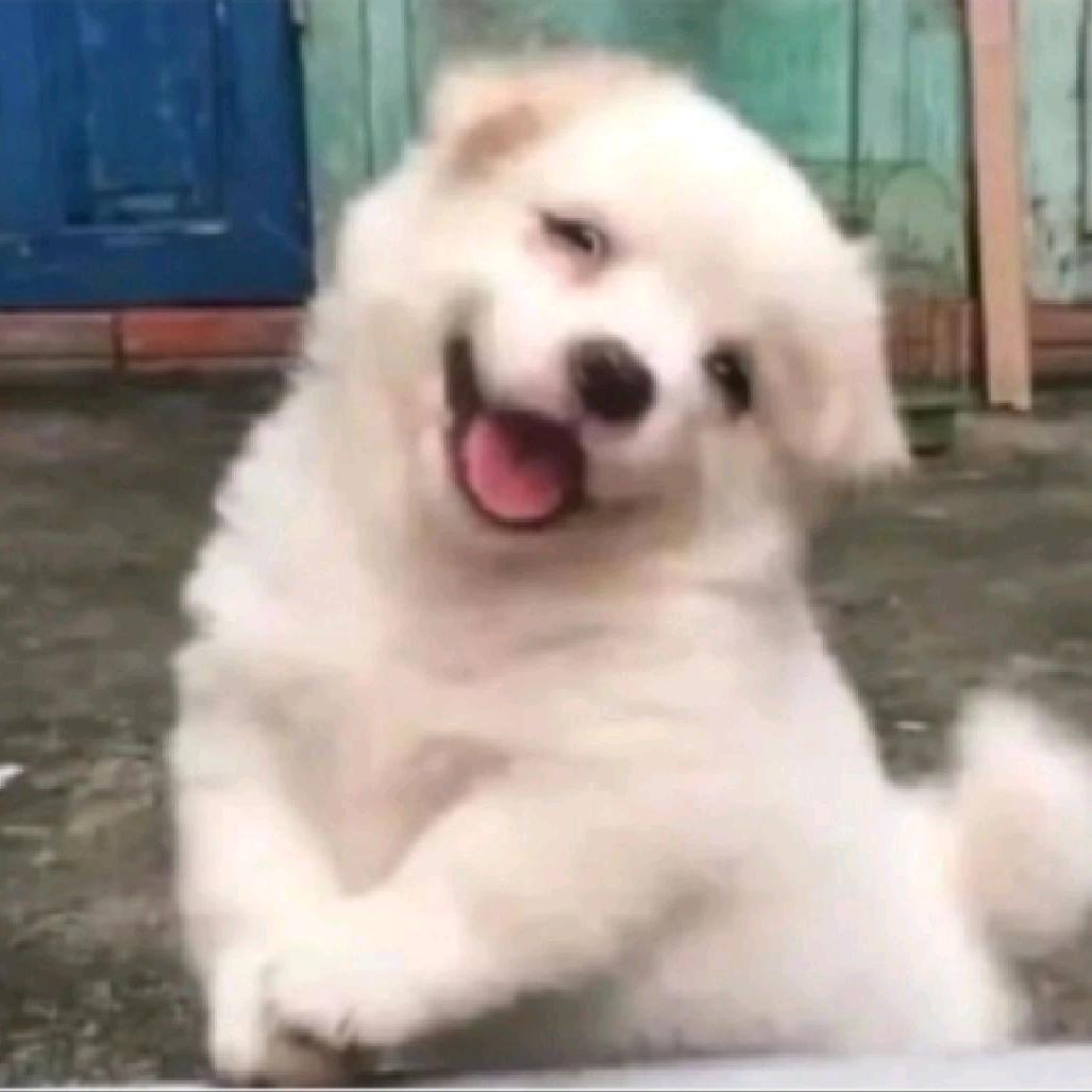 大福❥
