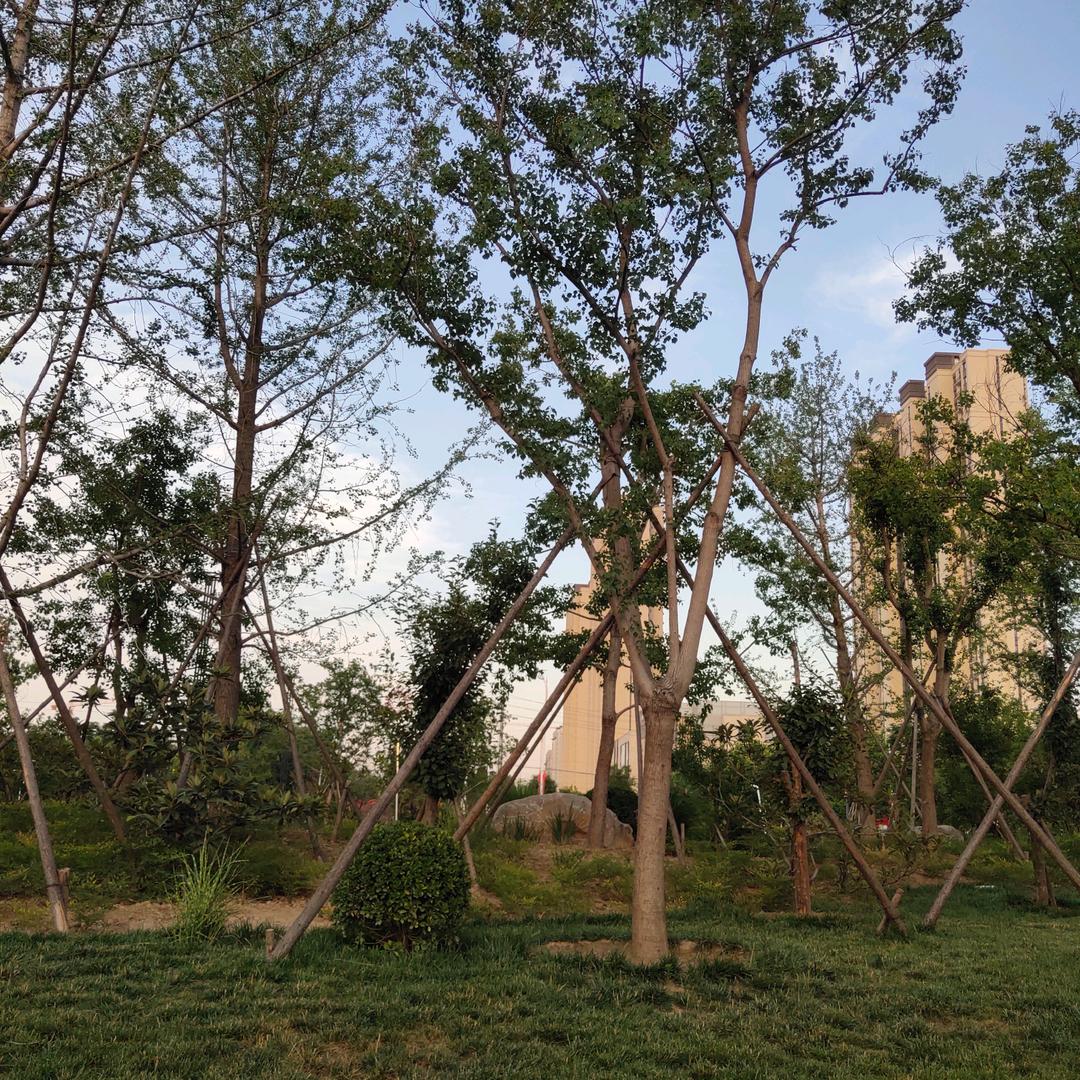 阳帆起航