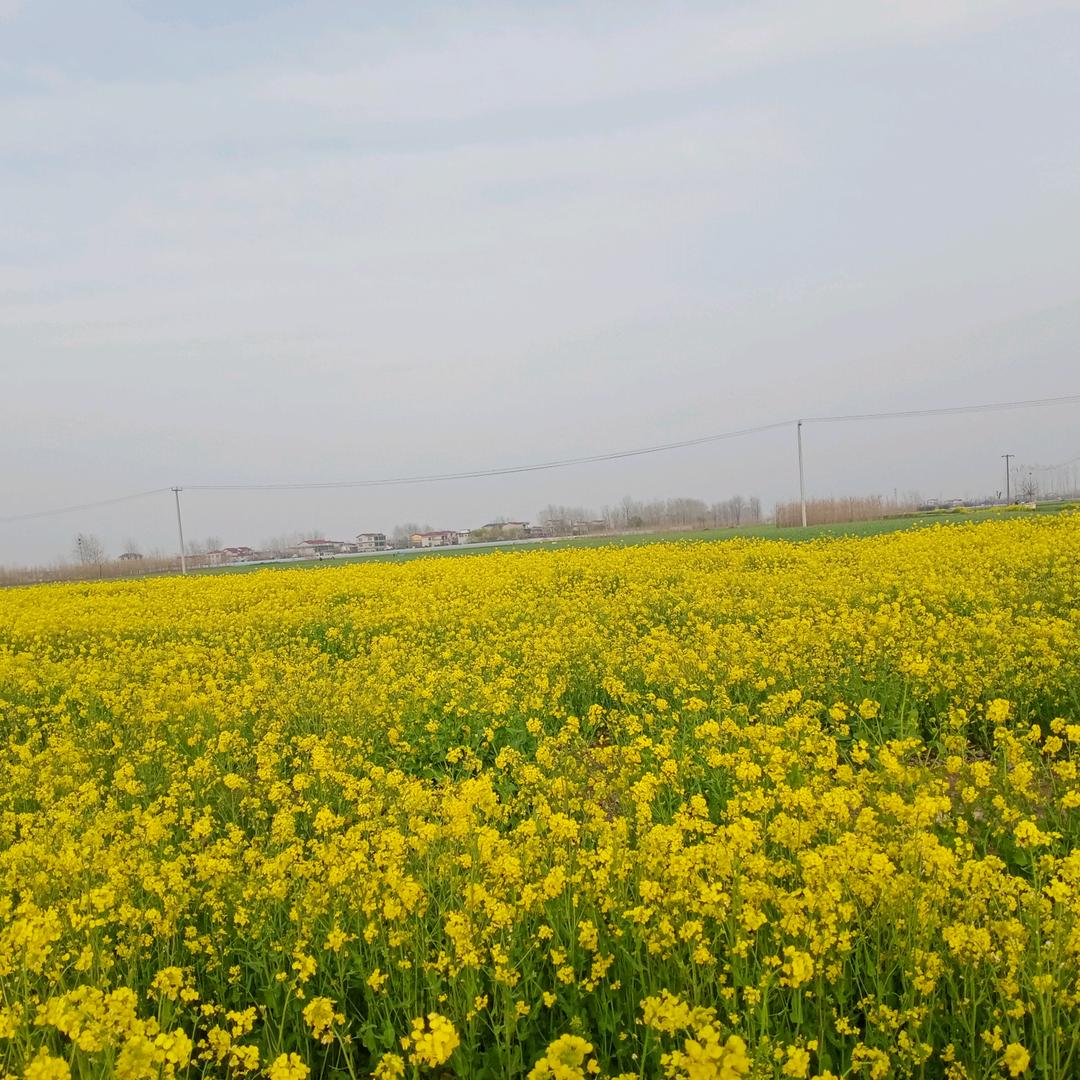 界坊专业铺地板砖