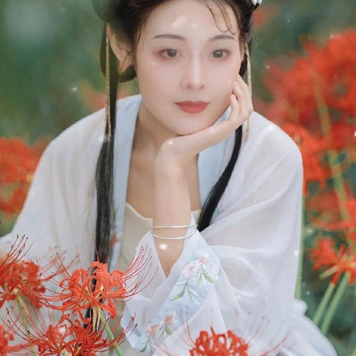 心月8228