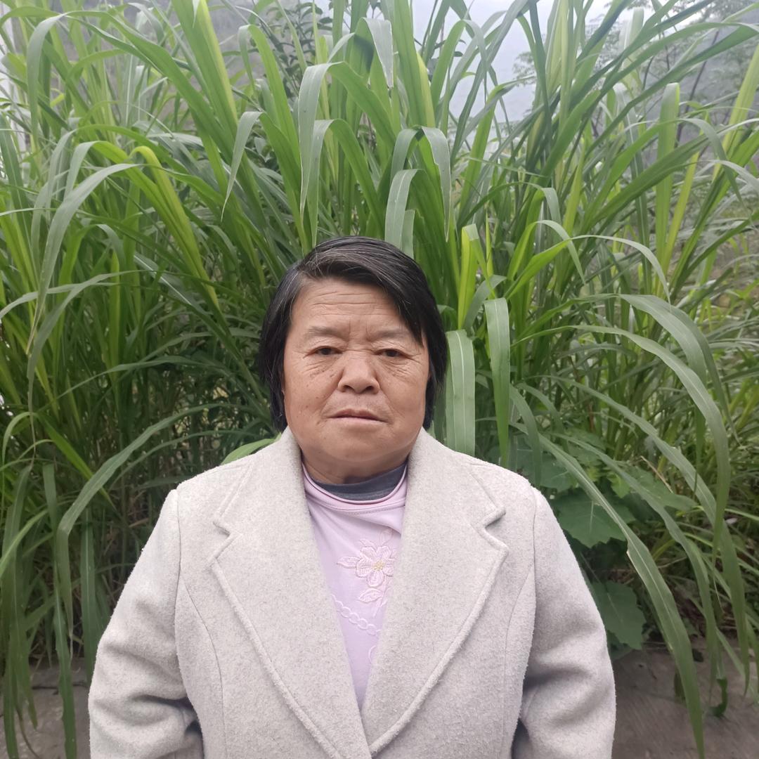 刘艳艳