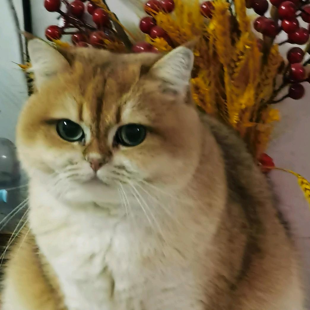 用户175376807无忧