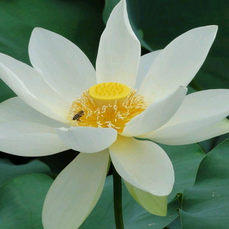 🍃安静🍃