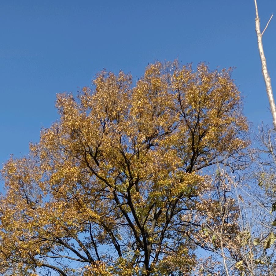 🏃🏼‍♀️...是幺呀！