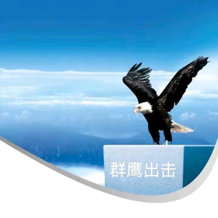 限量版