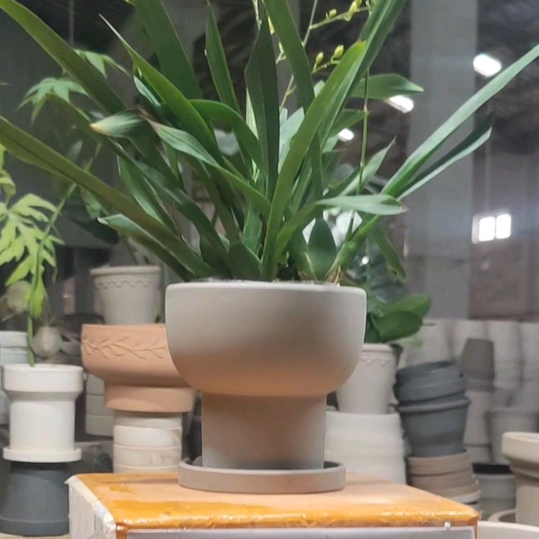 三枞树陶瓷花盆