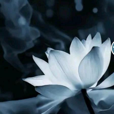 心.性.道