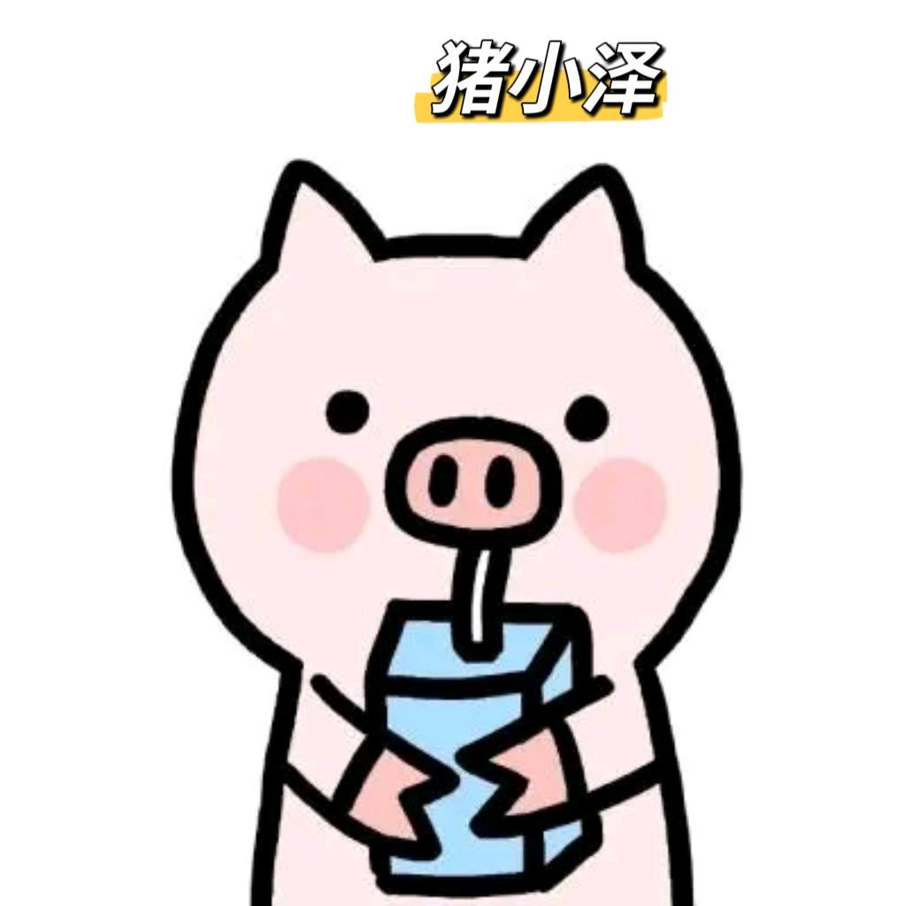 猪老师