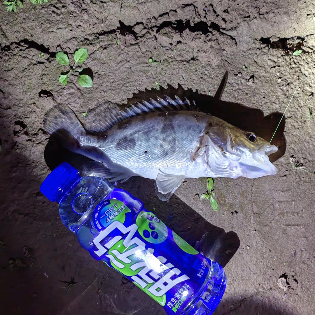 钓鱼爱好者