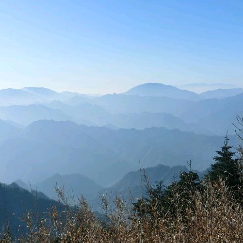 任平生