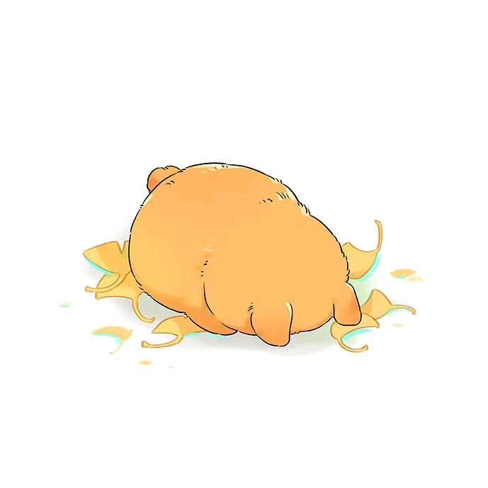 随缘.
