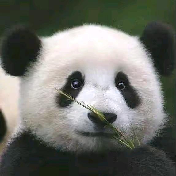 三瓶（教学看置顶）