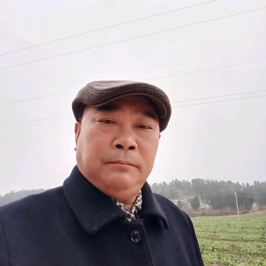 和哥千佛（晚上7点10分直播。）