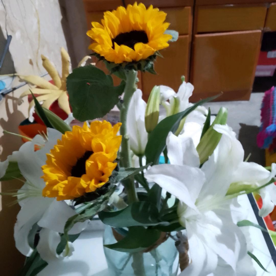微笑向暖🌻