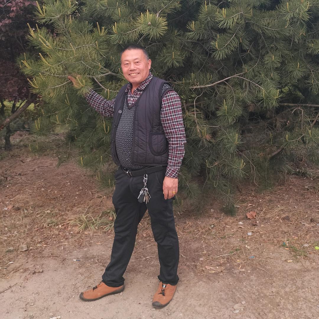 胶南煜林二手车行