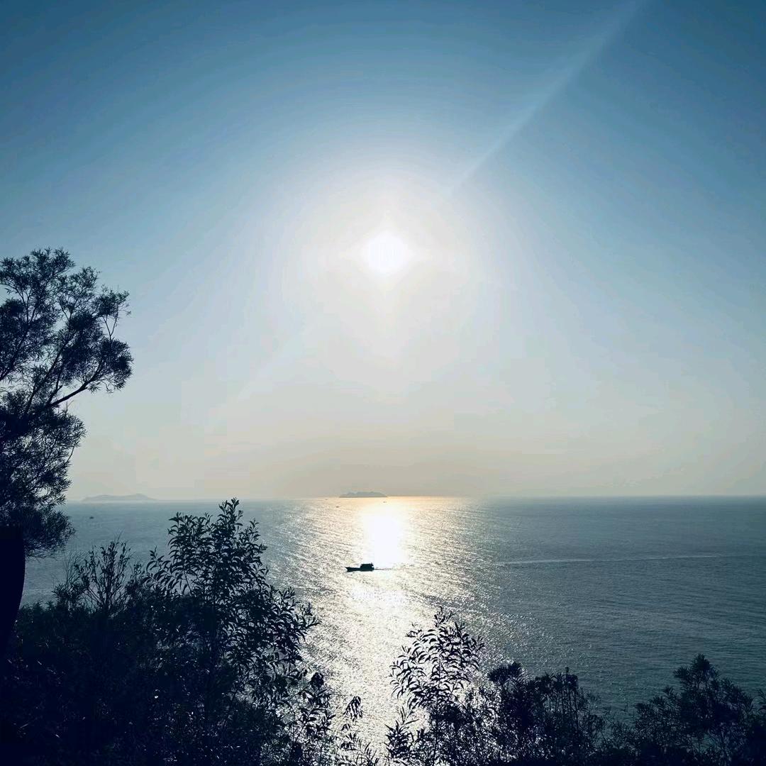 纵横江湖