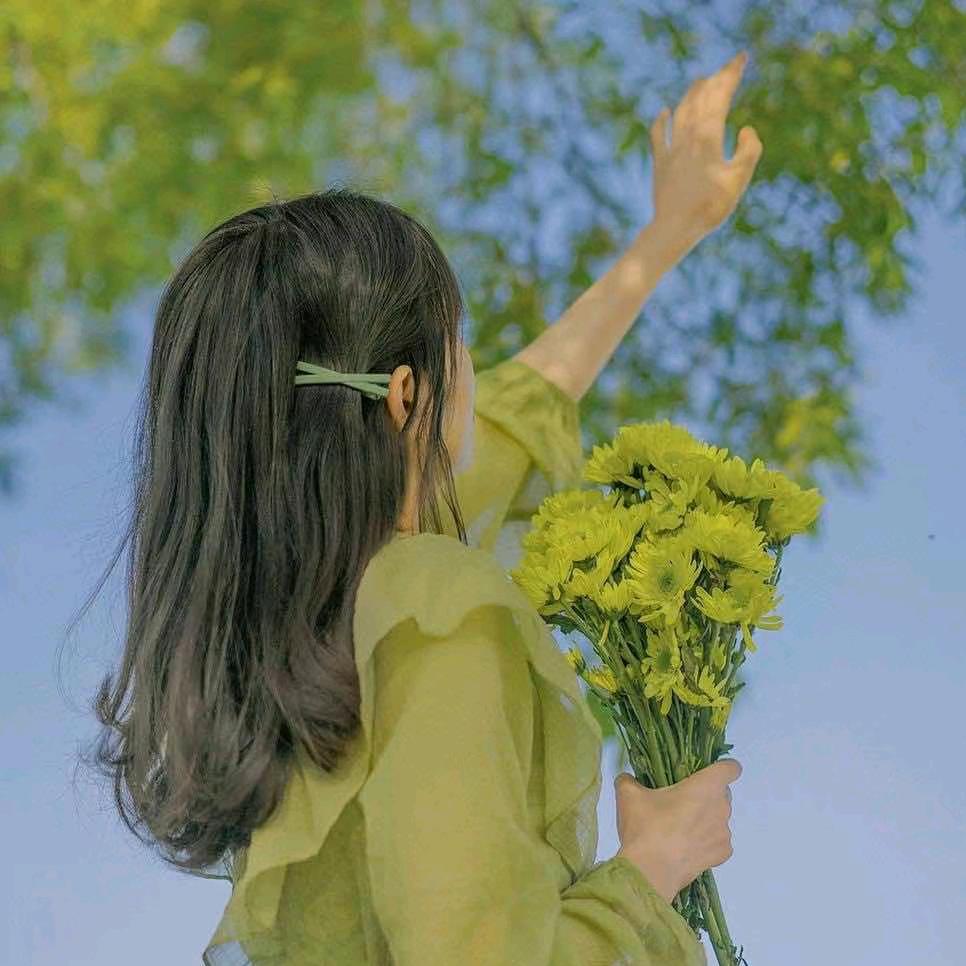 莲🌸宝🌸