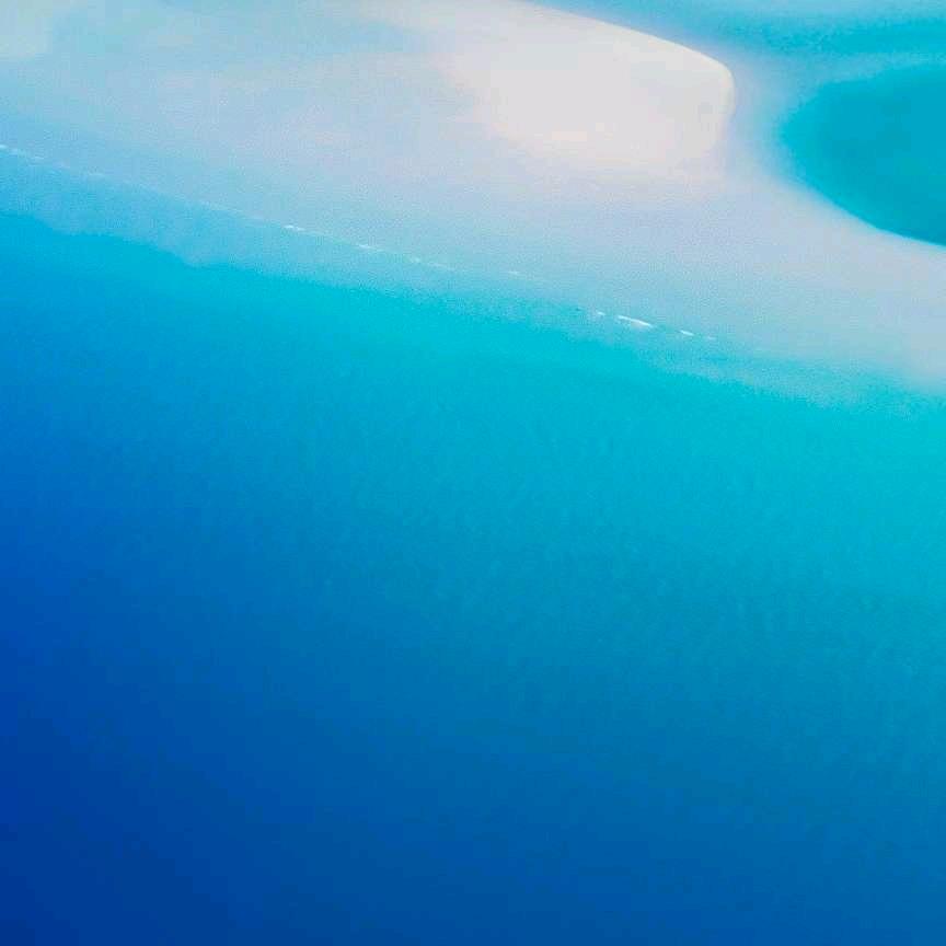 恨吾动真情