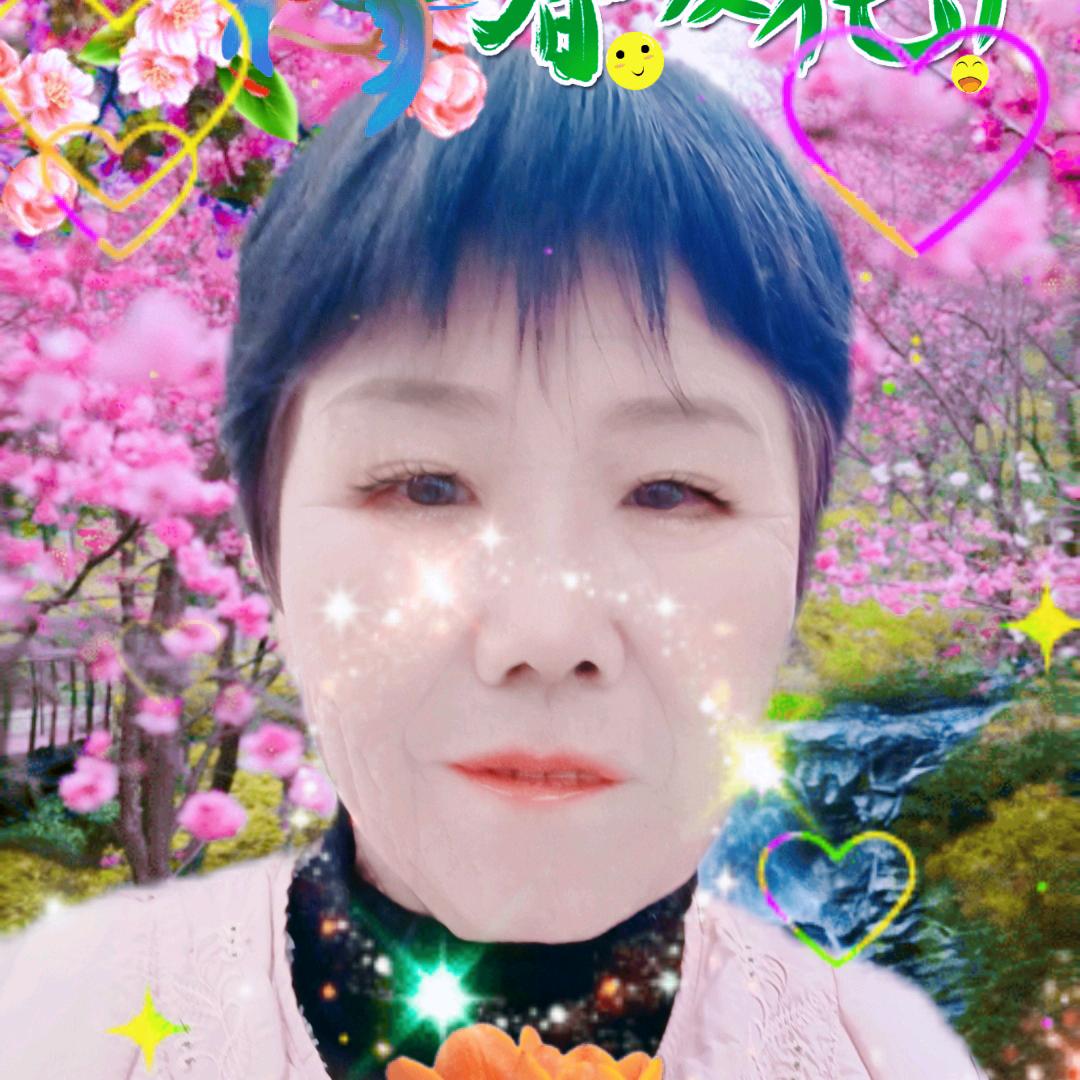 @陈十六小号