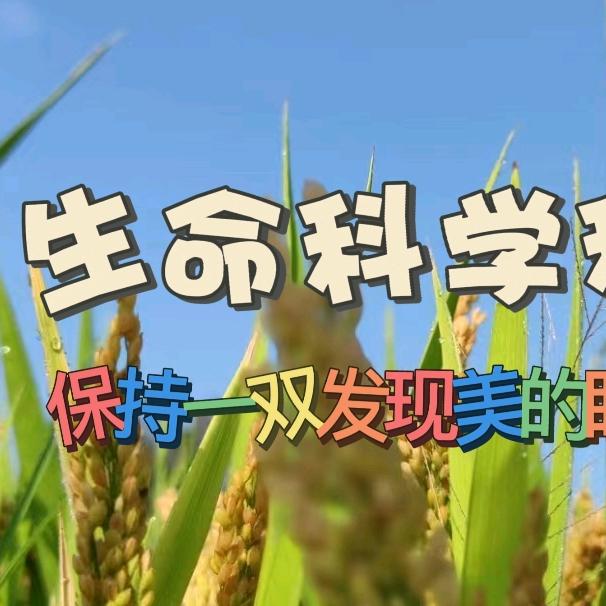 生命的剪彩