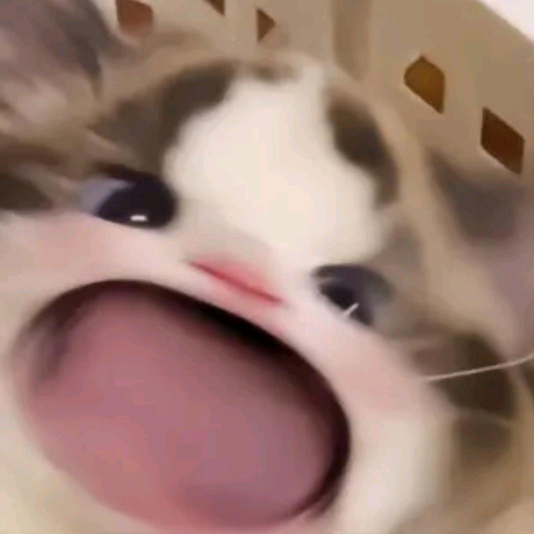 卡梵夕工作室