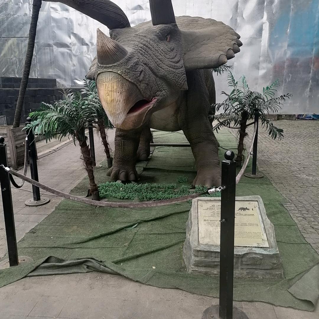 好的！你