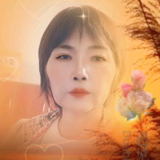 菊萍